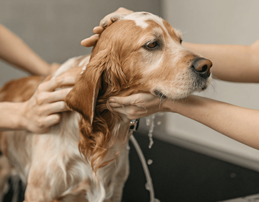 Укажите название услуги или специального предложения